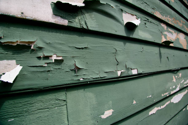 Best Retail Junk Removal  in East Rockingham, NC