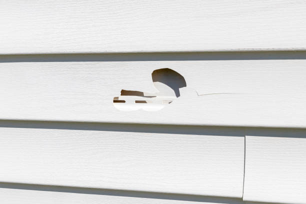 Best Same-Day Junk Removal Services  in East Rockingham, NC